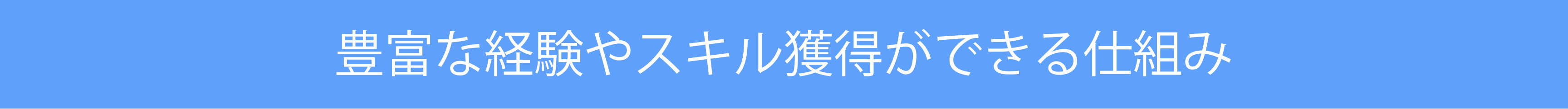 豊富な経験やスキル獲得ができる仕組み